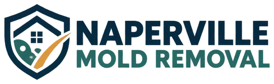 Naperville Mold Removal